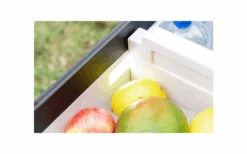 Berger DMC 45 Kompressor Kühlbox Dual-/ Singlezone 12/24/230V45 Liter (altes Modell) -Fritz! 1176817 6996967