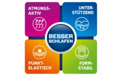 Berger 7-Zonen-Kaltschaum-Topperauflage 32 Berger 7-Zonen-Kaltschaum-Topperauflage -Fritz! 1524702 8539095