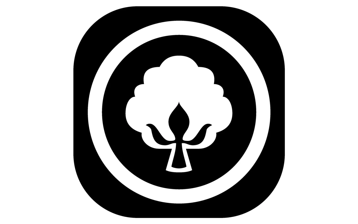 Berger 7-Zonen-Kaltschaum-Topperauflage 17 Berger 7-Zonen-Kaltschaum-Topperauflage – Bild 17